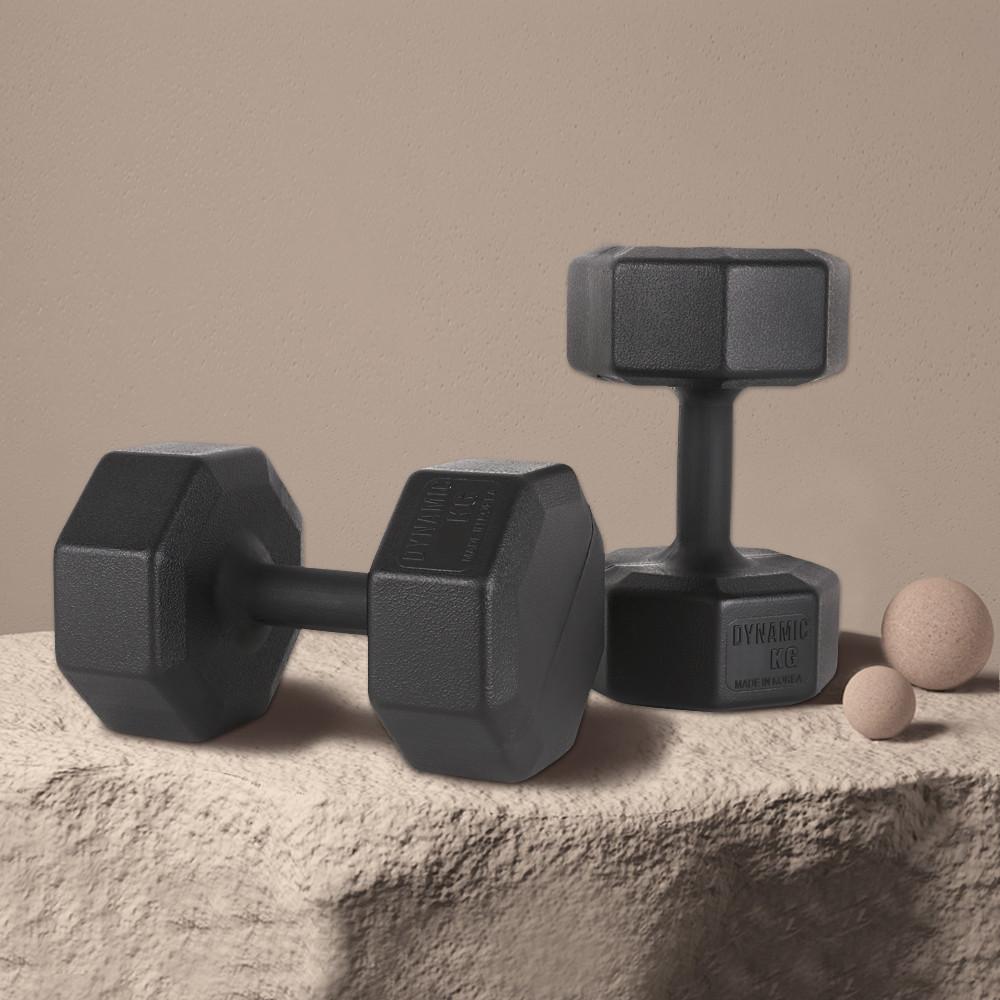 아리프 국산 다이나믹 옥타곤 덤벨 아령 3kg 2개세트
