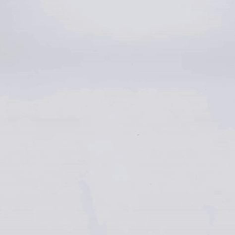 Detail Melting Puppy[7-10일 소요]