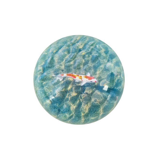 [7차 입고] fish bowl tok 반구 레진 구슬 문진 투명 스마트톡 금붕어 물고기 호수 감성 그립톡 친구 생일 선물