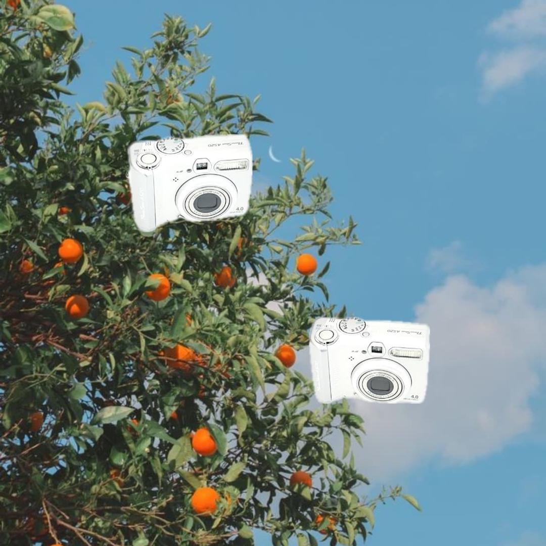 패션모델&희귀!) Canon PowerShot A520 디카 카메라 | 후루츠패밀리