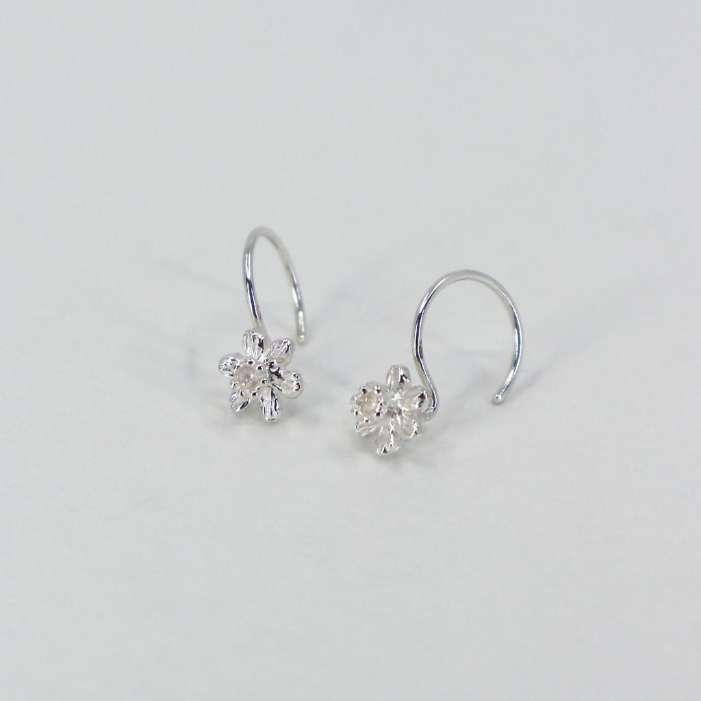 Mini Daffodil. E : YONS