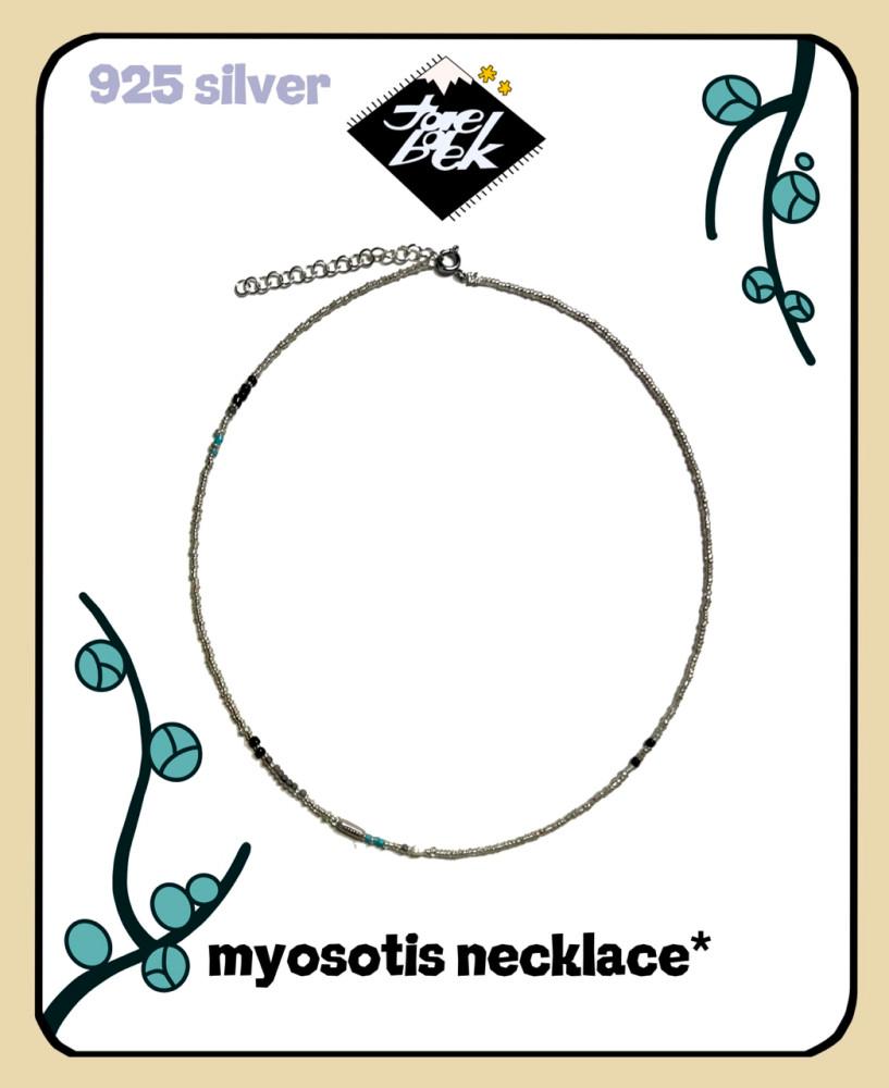 myosotis{물망초}. nk