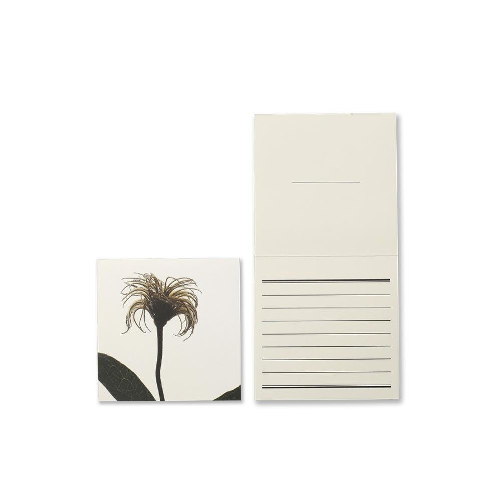 글월 GUELWOLL 플라워 카드 Winter Flower 클레마티스 씨드