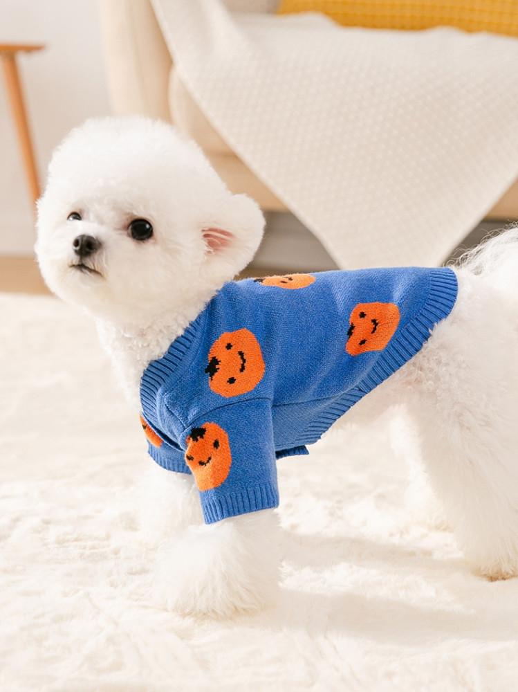 젤피도그 깜찍 감귤 애견 스웨터 강아지옷 겨울옷 패딩 후리스