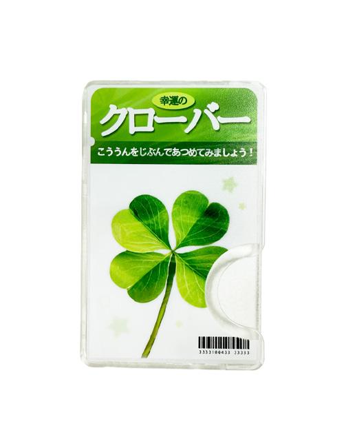 네잎클로버 씨앗 맥세이프 투명 카드지갑