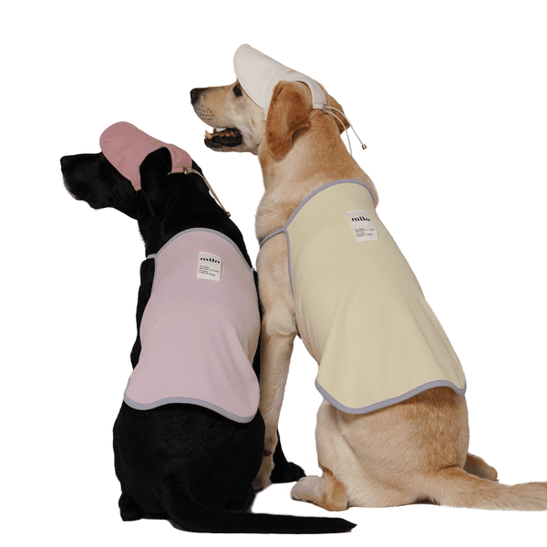 쿨 슬리브리스(cool sleeveless)