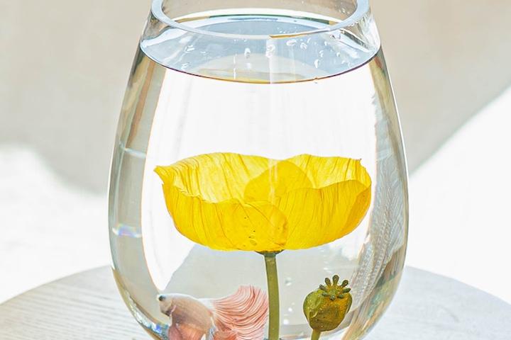 플로럴 베타하우스