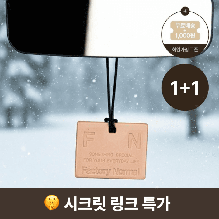 [시크릿링크 최대 13%] [1+1/총2개] 차량용방향제 테라코타 디퓨저