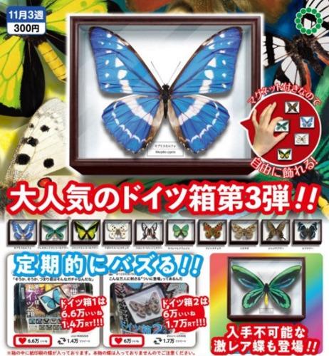 나비표본자석 가챠캡슐 10종세트