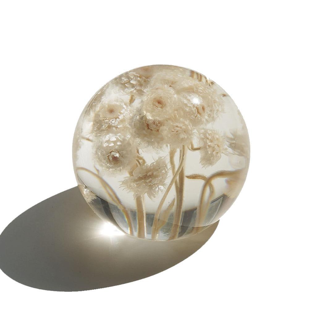 [mixtureshop] 이모르딸 볼 immortal ball