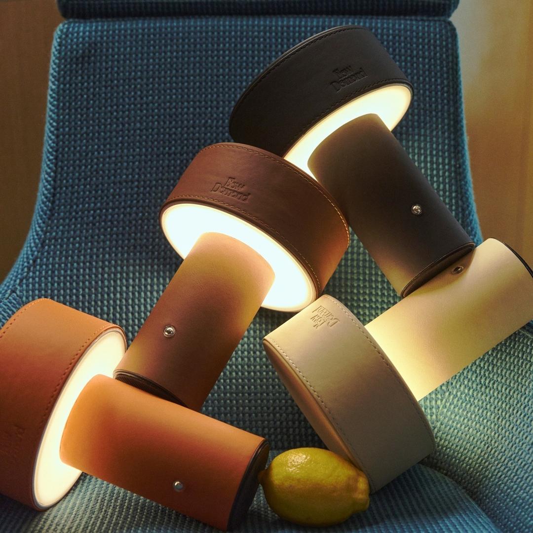 ❤️‍🔥1+1❤️‍🔥 CUIR LUMIERE 22 Leather Lamp