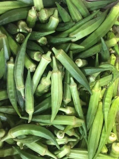 오크라 500G 생오크라 오쿠라 OKRA 특품