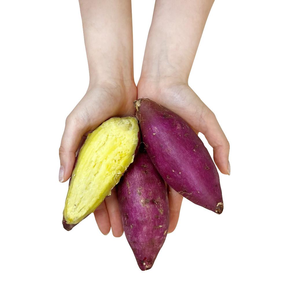 제철 햇 밤고구마 퍽구마 국내산 꿀 밤 세척 고구마 2,3,5,8kg [원산지:국산(전라북도 익산시)]