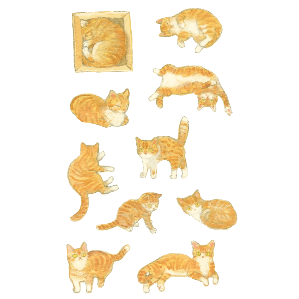 [은민] 치즈고양이 스티커