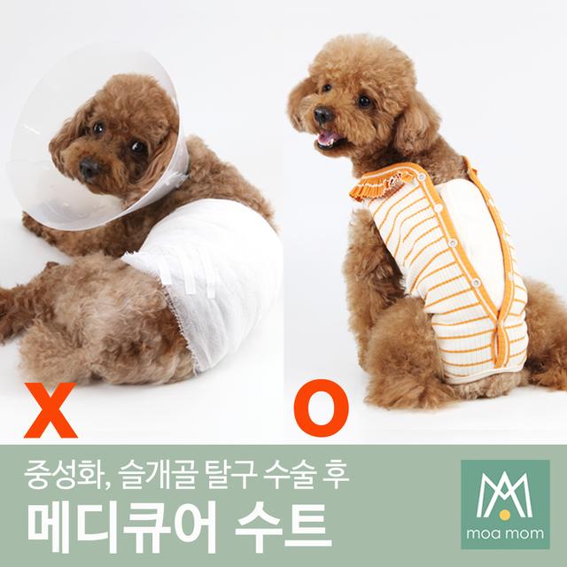 메디큐어수트 넥카라필요없음 강아지 환견복 중성화옷 환자복 수술복 중성화 수술 슬개골수술