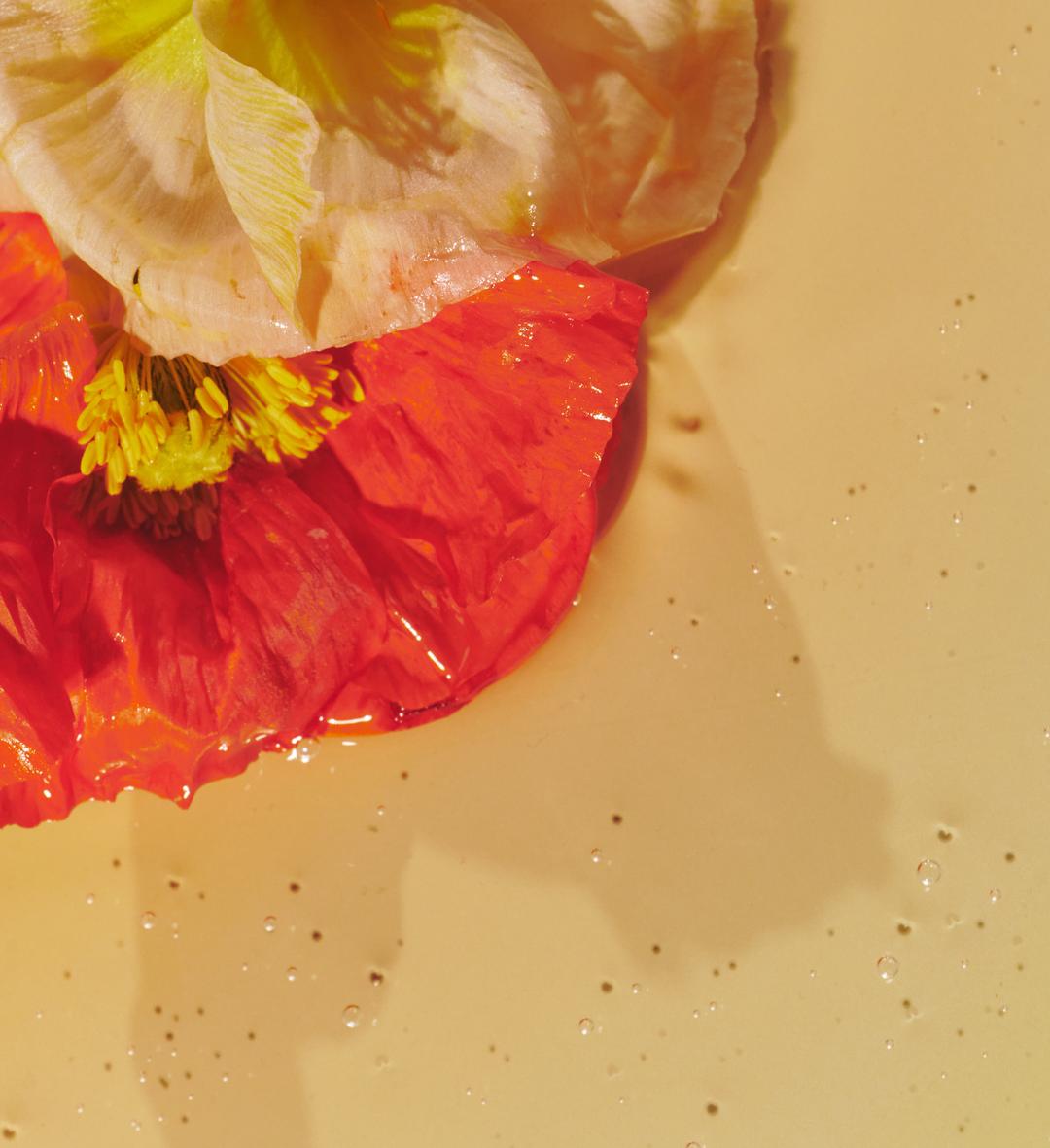 퍼퓸 헤어 오일 80ml 4종