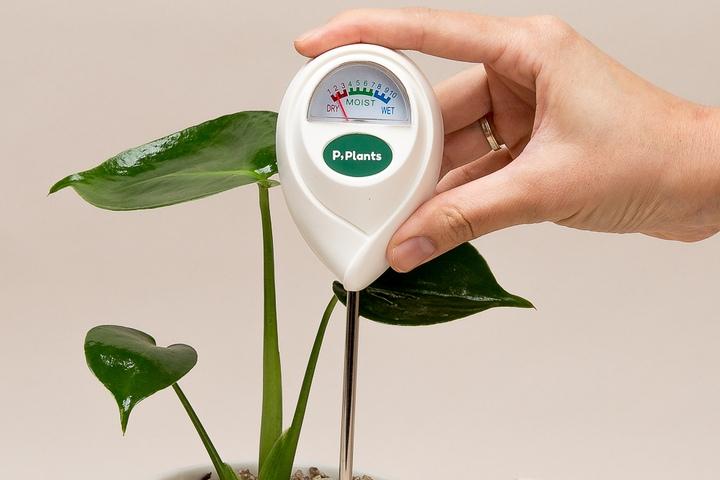 수테기 식물 수분테스트기