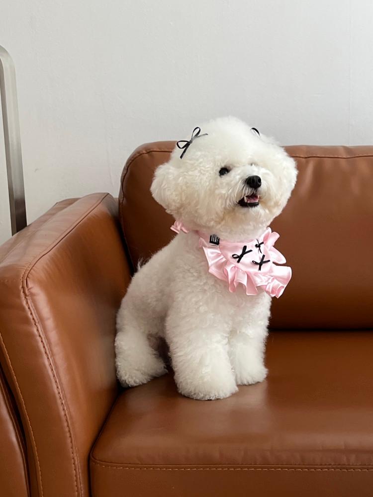 베베 리본 빕 4colors 강아지빕