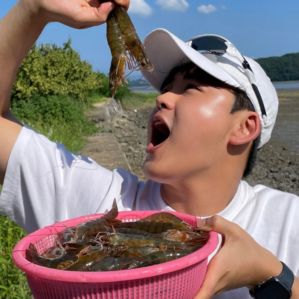 제철 새우 흰다리새우 생새우 활새우 왕새우 대하 새우철