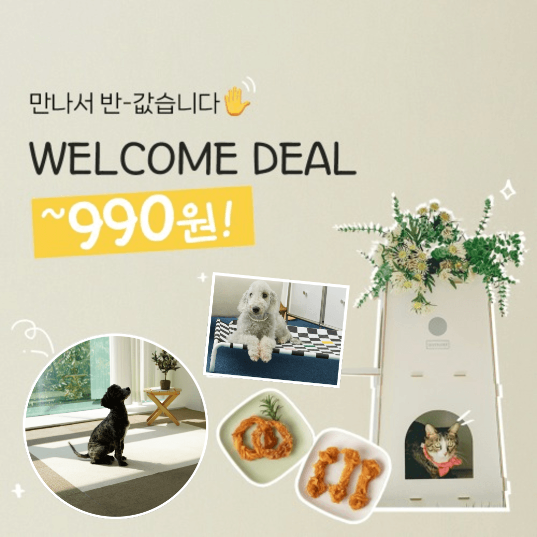 ★990원 딜★ 첫 구매 혜택  BEST 제품