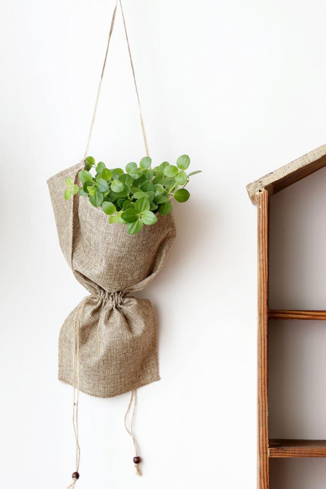 공기정화식물 홀리페페 컬러아이비 스킨 오색마삭줄 호야 푸미라 스파트필름 토분화분 키우기