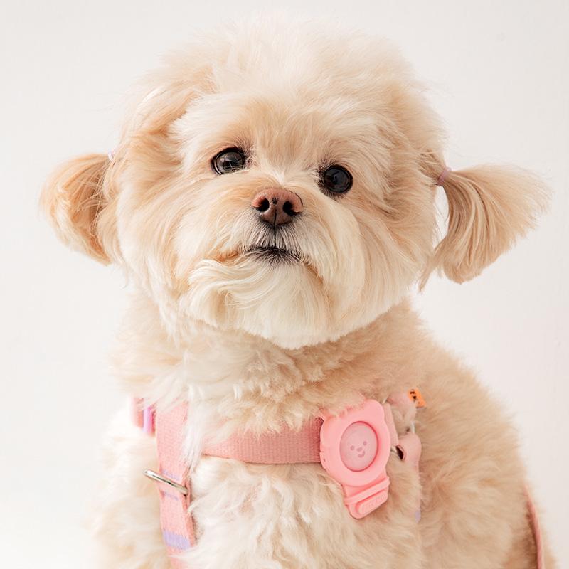 [15%쿠폰]바잇미 헤잇미 밴드 - 3 colors (해충이 싫어하는 오일 함유)