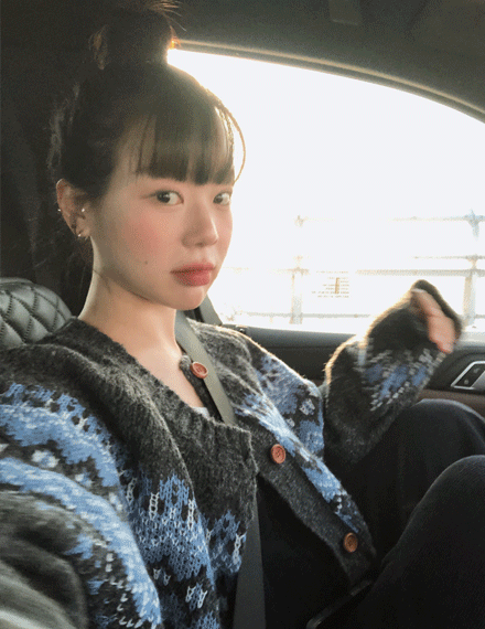 빈블 첼로딧 아이슬랜드 노르딕 니트 가디건