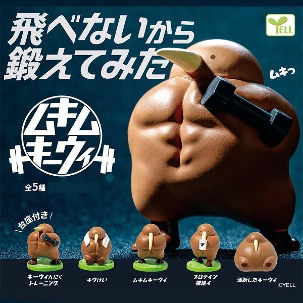 날지 못하니까 단련해봤어 근육 키위새 피규어 가챠