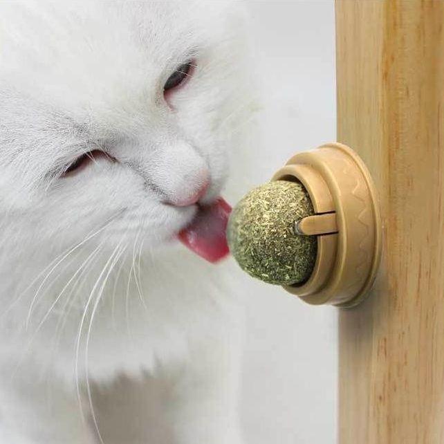 네이처펫 냥냥이 롤링 캣닢볼