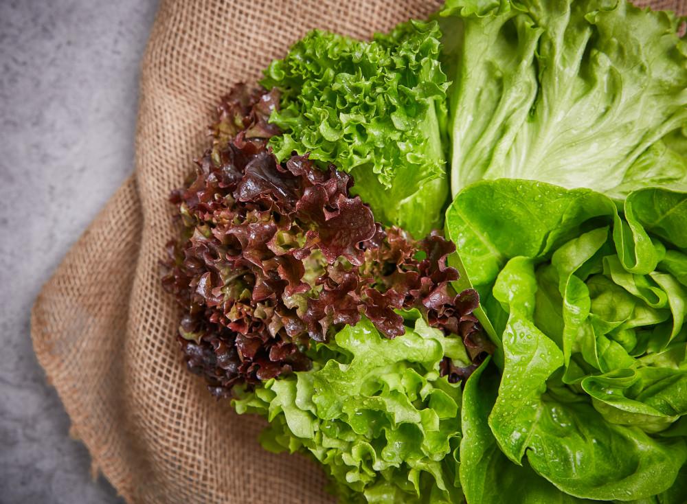 출고일 선택가능 [농가돕기 프로젝트] 유러피안 샐러드채소 1kg