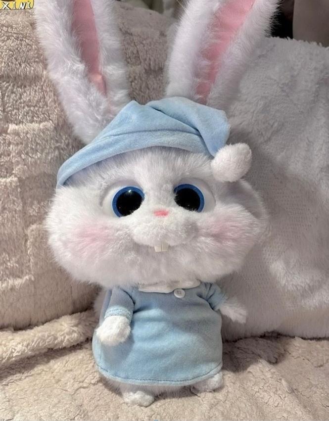 4type Bunny Prop 귀여운 토끼 인형
