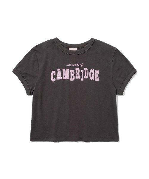 여성 캠브리지 로고 링거 크롭 반팔 티셔츠 브라운