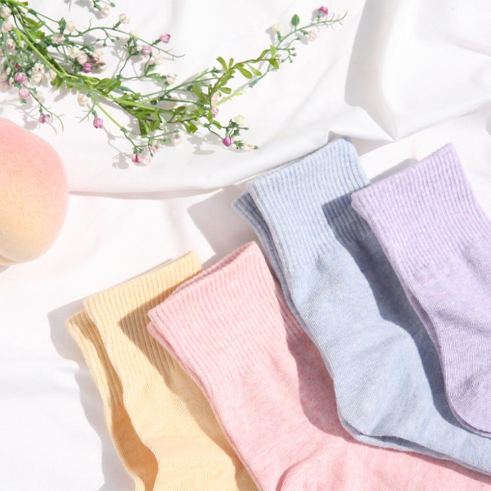 W250 데일리 학생양말 여자 하프골지밴드 긴양말 10켤레 세트