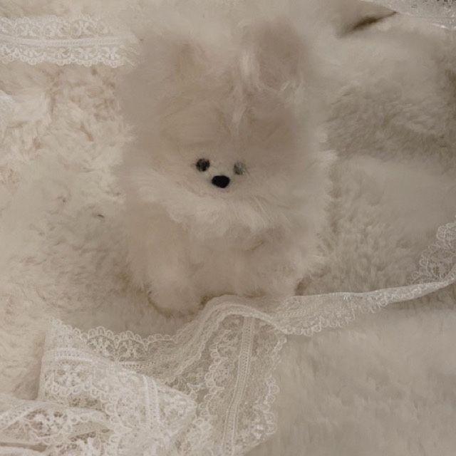 슈가 에어팟/프로/3세대 케이스🤍