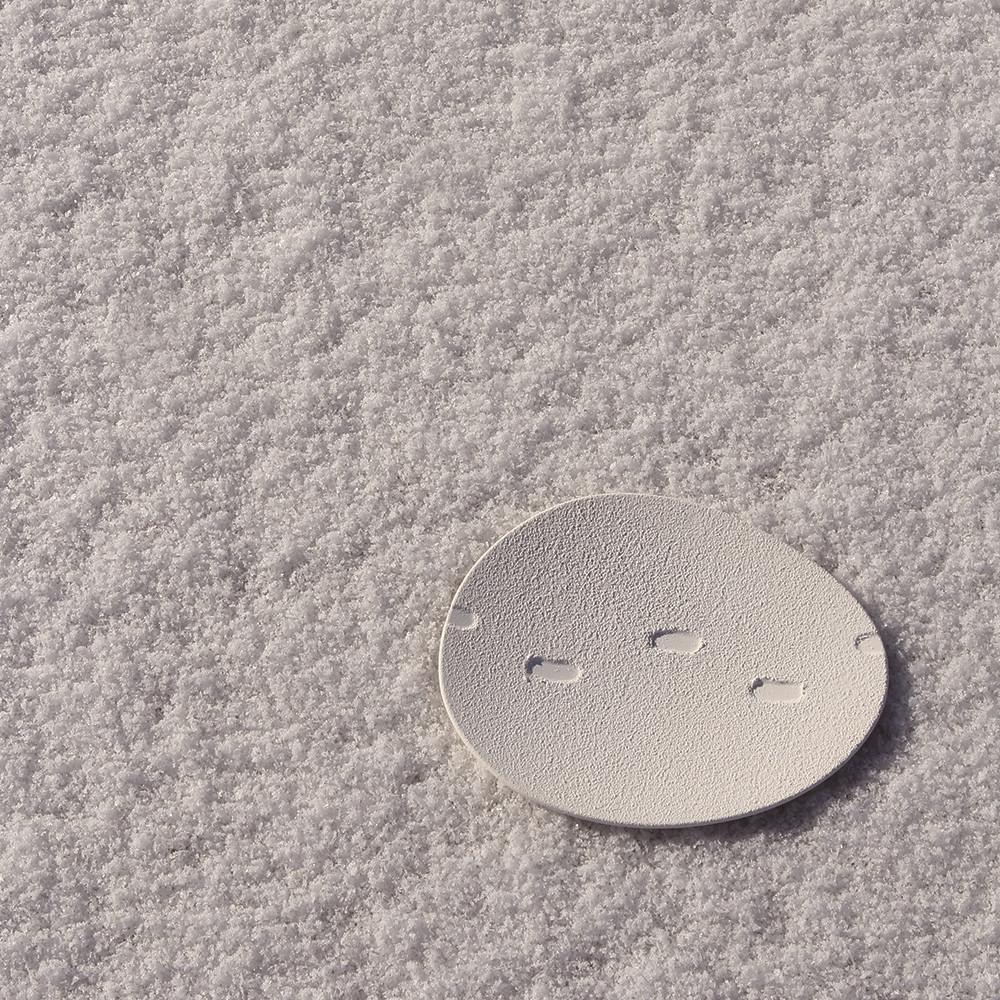 SNOW WALTZ oval large