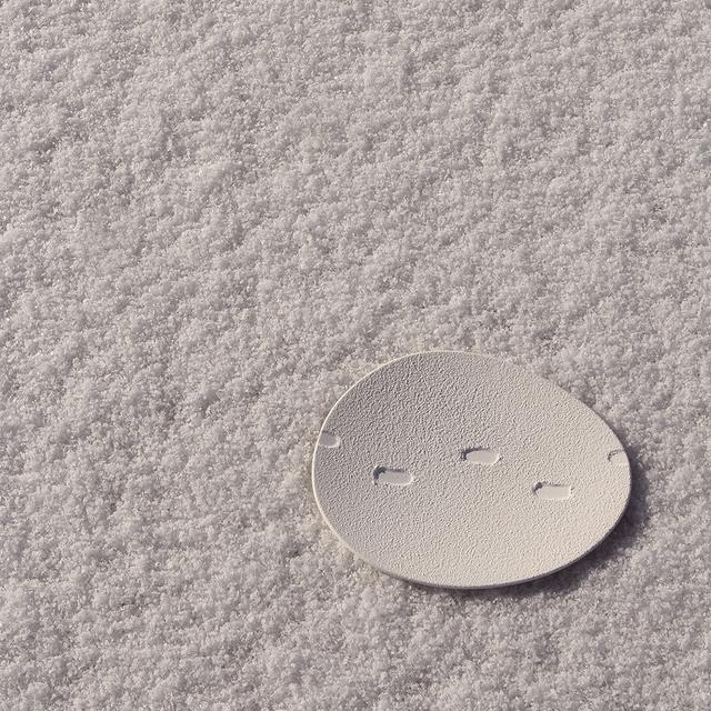 SNOW WALTZ oval large