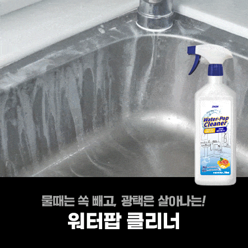 대쉬 워터팝 물때 클리너 750ml