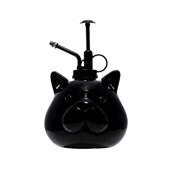 블랙 캣 미스터