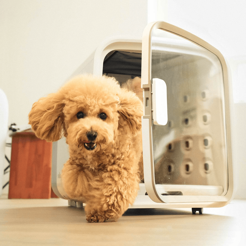 넬로 펫드라이룸 (택1)