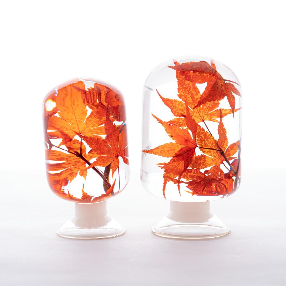 피스오브타임(pieces of time) - 단풍