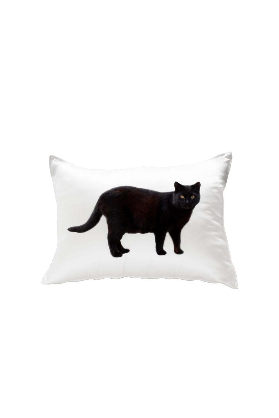 black cat pillow cover