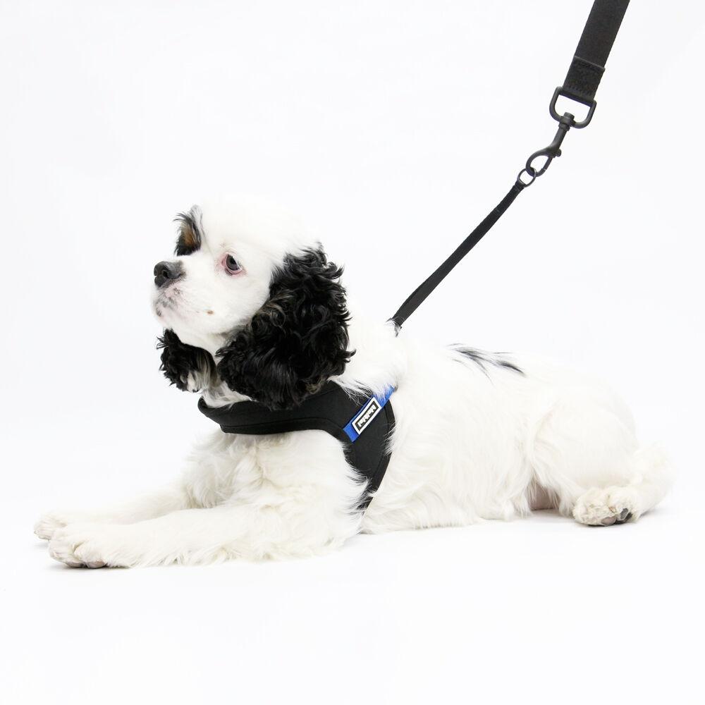 KINI SIGNATURE HARNESS-BLACK/BLUE(하네스)