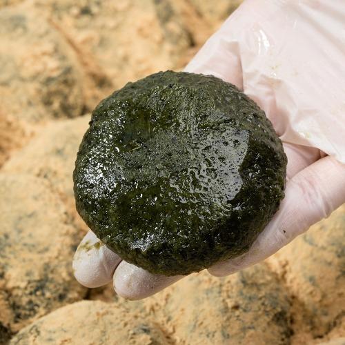 [콩가루 무료증정] 3+1특가 무농약 쑥이 가득! 쫀득한 밥알쑥인절미