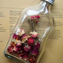 천일홍 드라이플라워 유리병