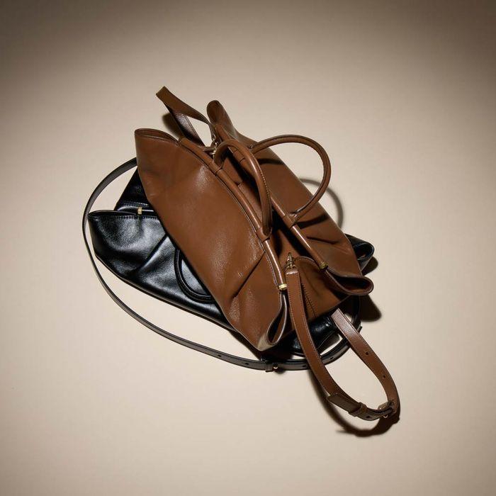 Luna Tote 29 (Brown)_RCBTX24654BRX