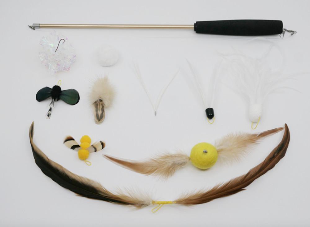 거실의사자 마스터 키트