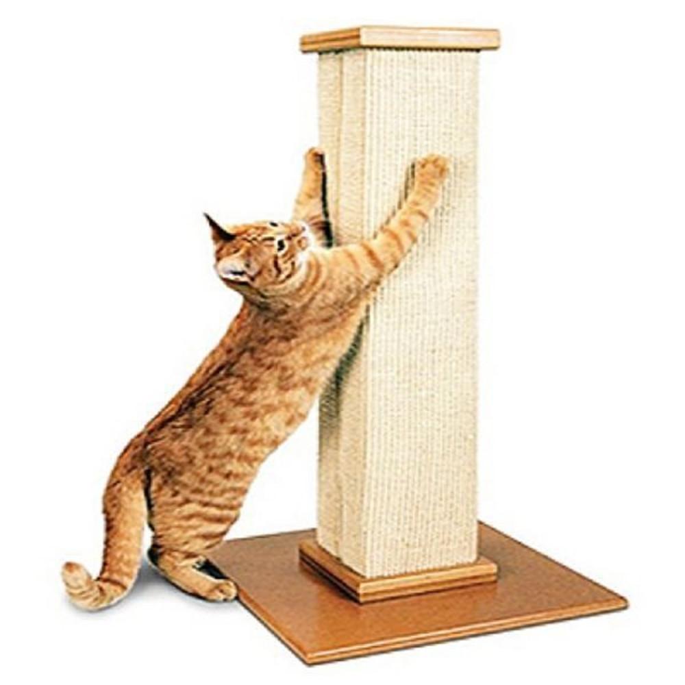 파이오니아 펫 얼티메이트 스크래쳐