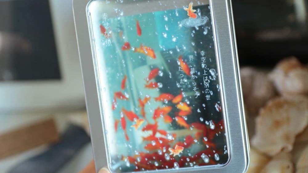 장마와 금붕어, 틴케이스 (엽서 증정)