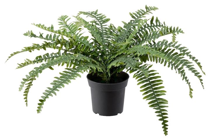 고사리 조화인조식물 페이카 (화분지름:15cm)