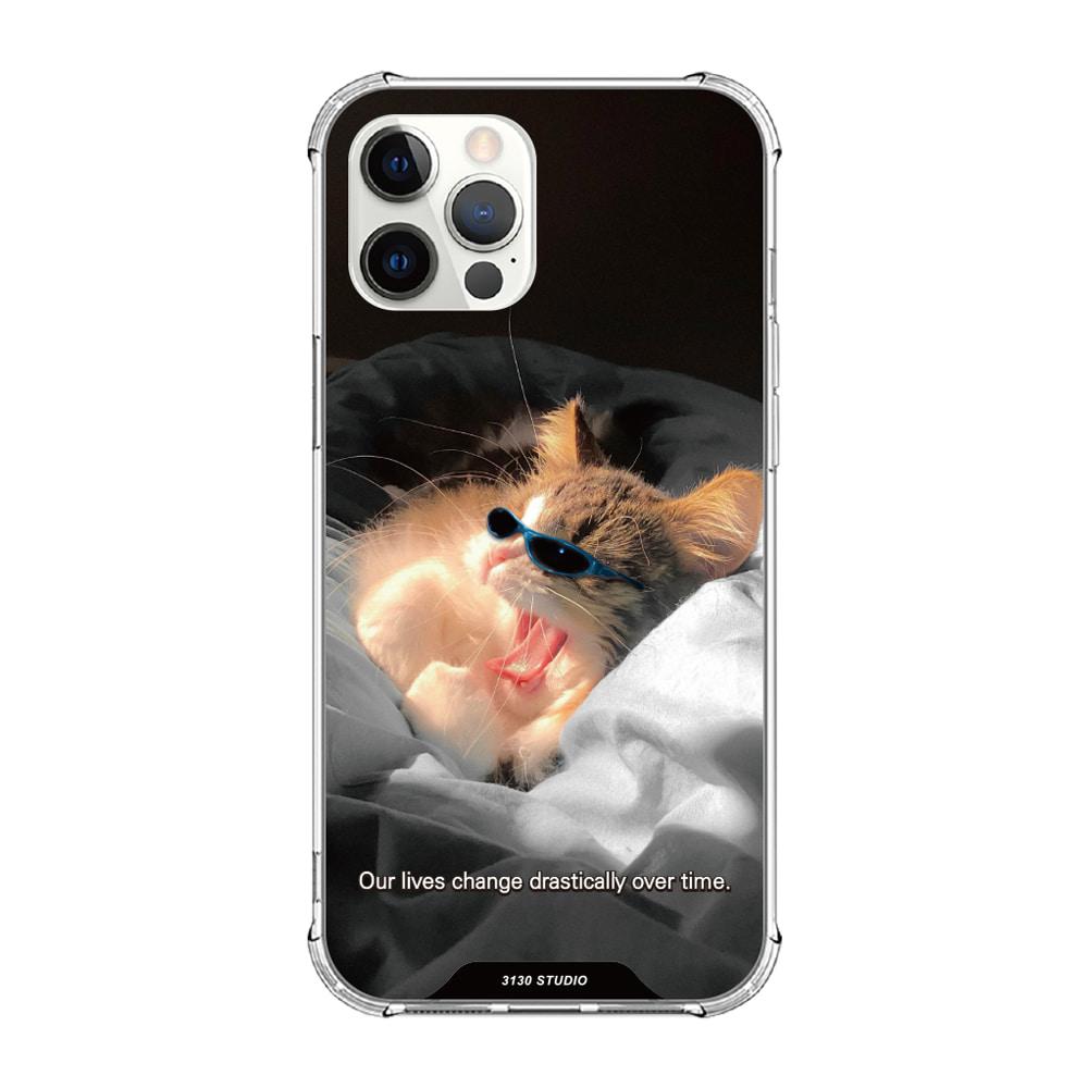 드라우지 블루 캣 케이스